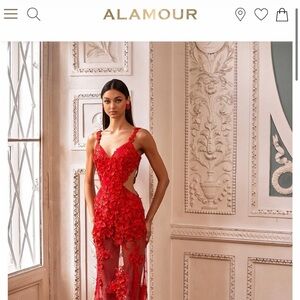 Red Floral Lace Dress